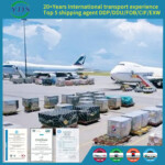 DPD shipping agent Bulgaria Estonia Lithuania Hungary Croatia Roumania door to door