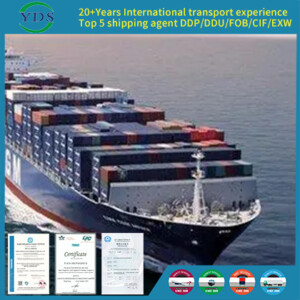 sea freight Full container company Mexico Belgium Luxembourg Denmark Austria Ireland Portugal