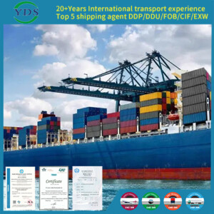 DPD shipping agent Bulgaria Estonia Lithuania Hungary Croatia Roumania to Door or port